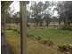 2095 Packham Drive, Manildra NSW 2865