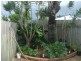 Marcoola QLD 4564