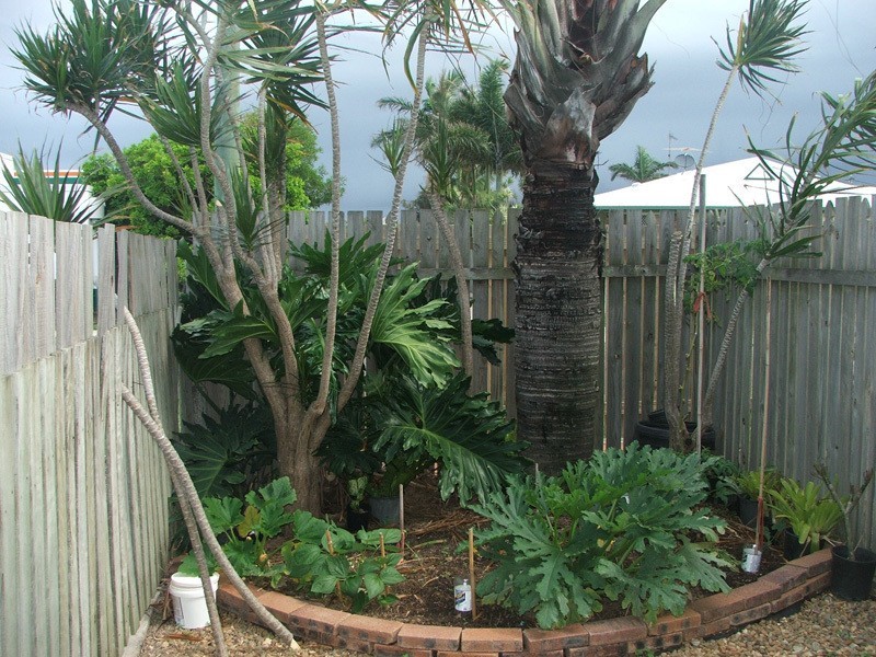 Marcoola QLD 4564