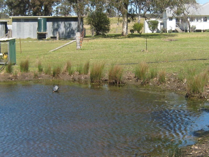5212 Mt Lindesay, Liston NSW 2372