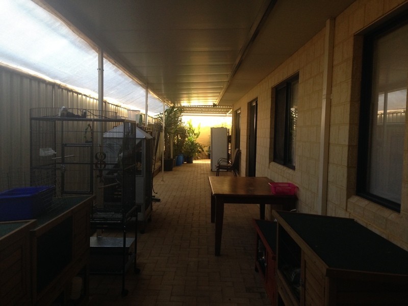 28 Kelang Rd, Wattle Grove WA 6107