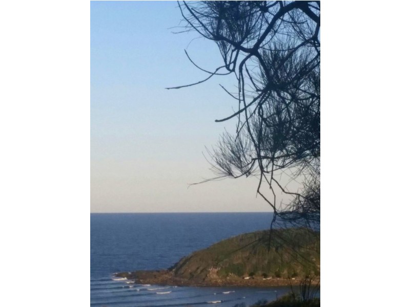 25 Vista Way, Scotts Head, Scotts Head NSW 2447