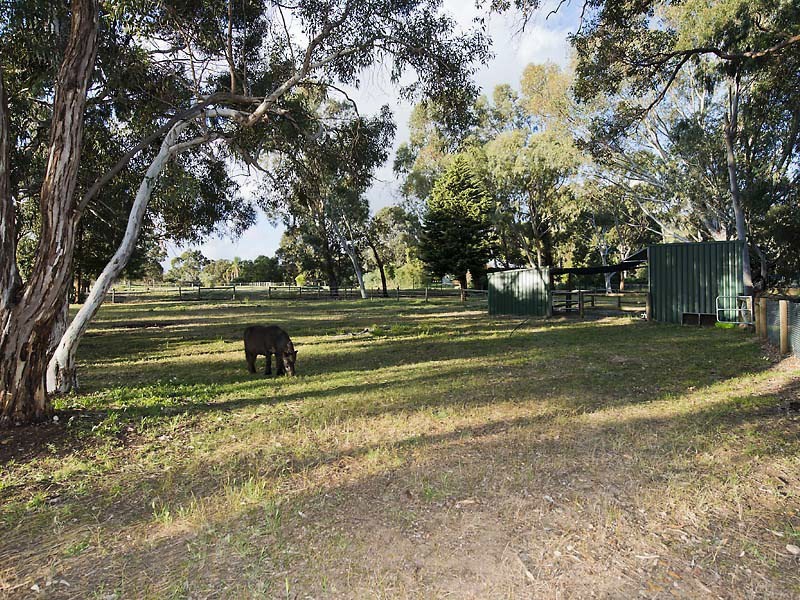 61 Lewis Road, Serpentine WA 6125
