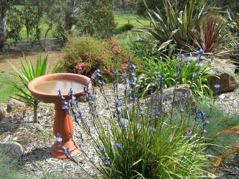 1084 Millinup Road, Porongurup WA 6324