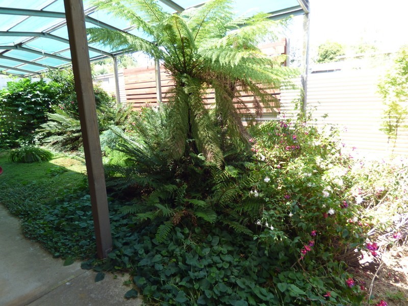 6 Houston Street, Daylesford VIC 3460