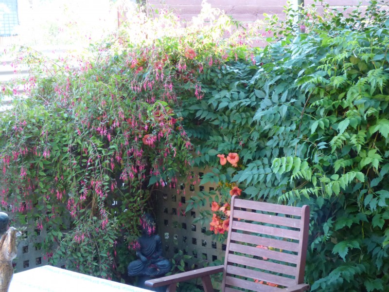 6 Houston Street, Daylesford VIC 3460