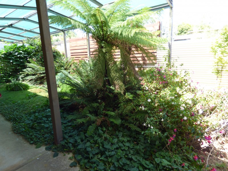 6 Houston Street, Daylesford VIC 3460