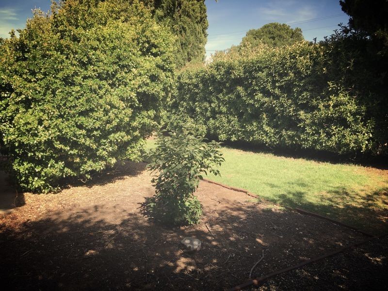 13 Ford Street, Auburn SA 5451