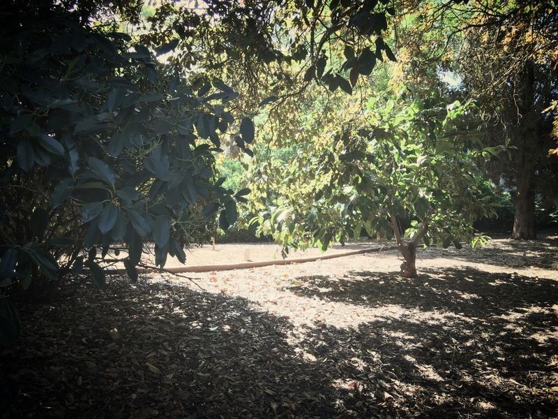 13 Ford Street, Auburn SA 5451