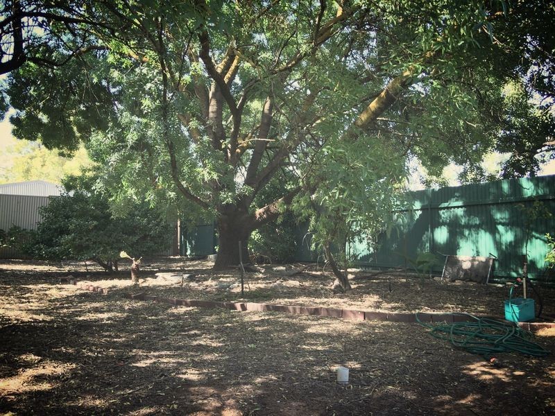 13 Ford Street, Auburn SA 5451