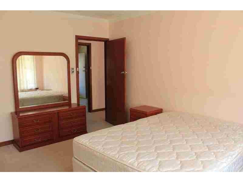 13 farina drive, Yokine WA 6060