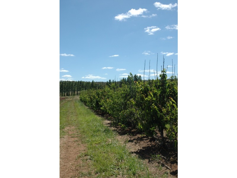 3192 Irishtown Road, Donnybrook WA 6239