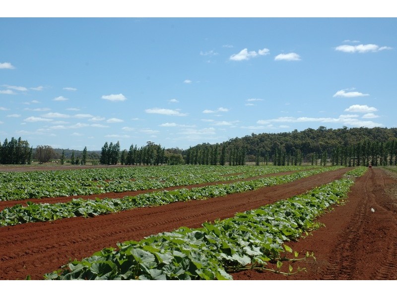 3192 Irishtown Road, Donnybrook WA 6239