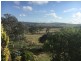 1001 Ophir Rd, Rock Forest NSW 2795