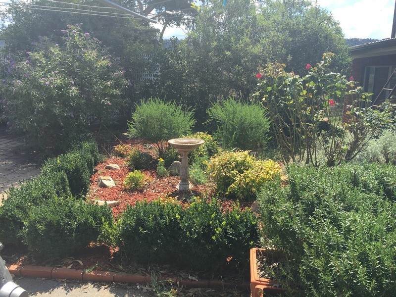 1001 Ophir Rd, Rock Forest NSW 2795