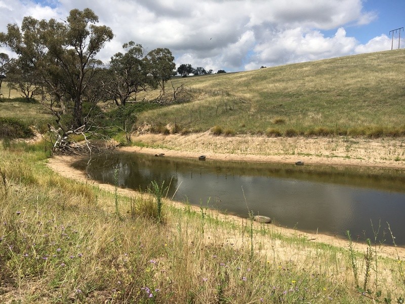 1001 Ophir Rd, Rock Forest NSW 2795