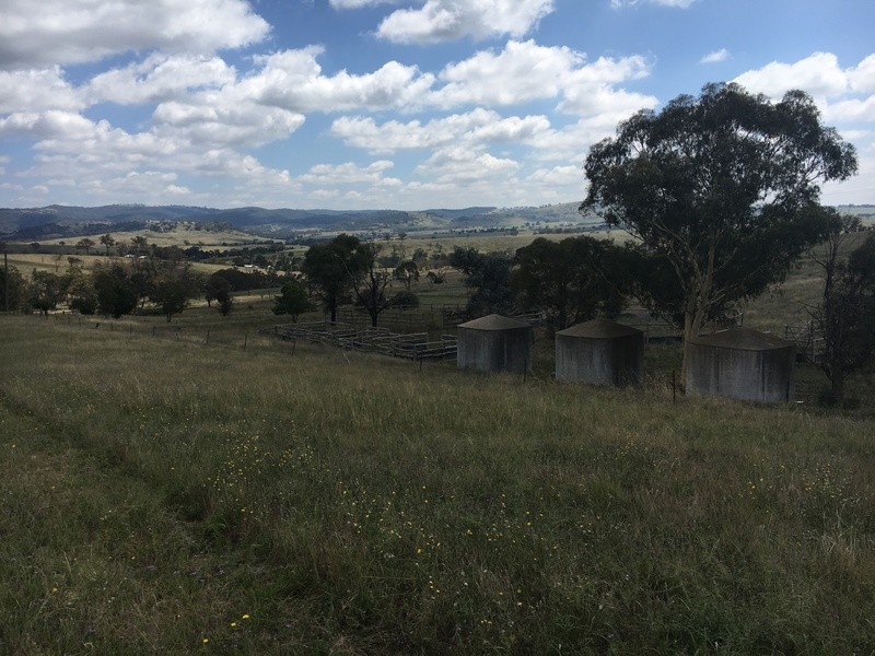 1001 Ophir Rd, Rock Forest NSW 2795
