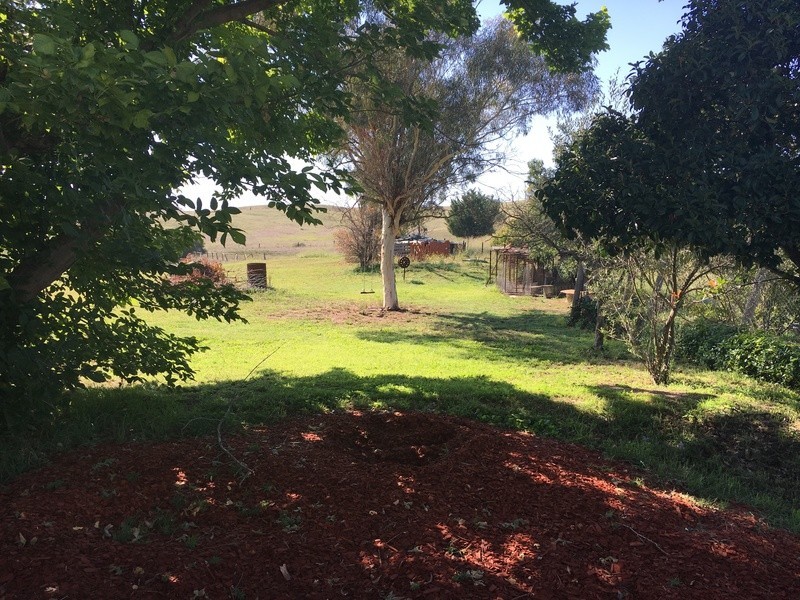 1001 Ophir Rd, Rock Forest NSW 2795