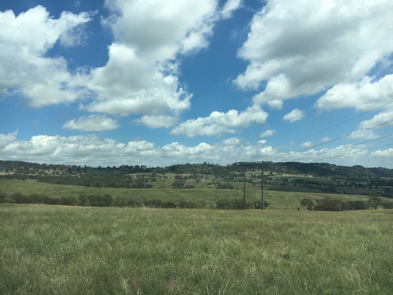 1001 Ophir Rd, Rock Forest NSW 2795