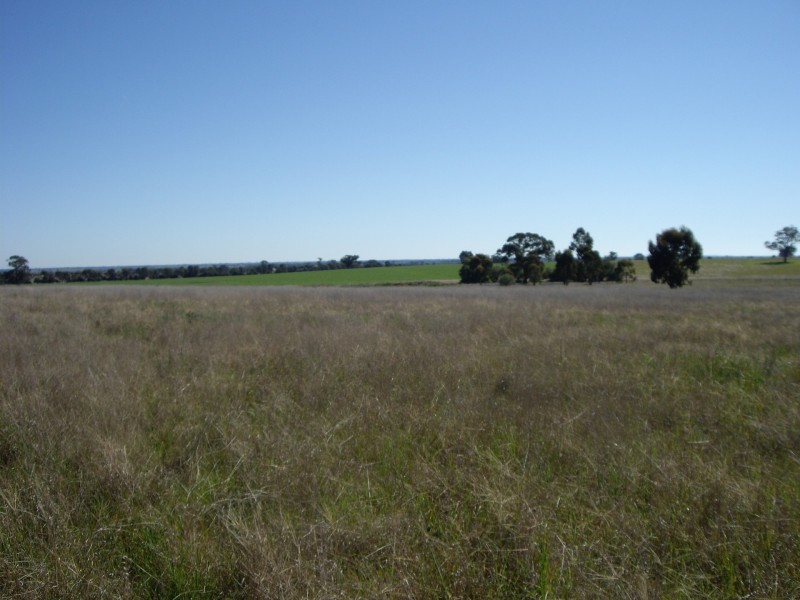 Lot 24 Kamarooka Drive, Kamarooka VIC 3570