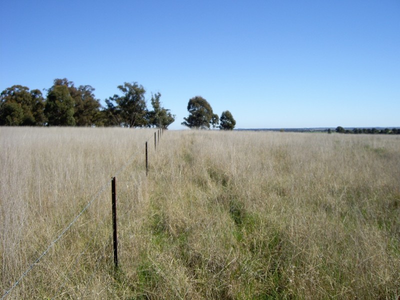 Lot 24 Kamarooka Drive, Kamarooka VIC 3570