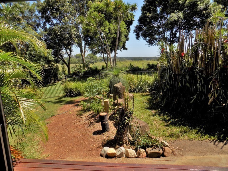 3 IVORY CURL COURT, Ewingsdale NSW 2481