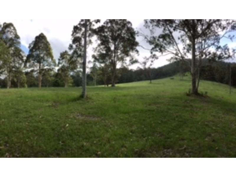 175 Wallabyjoe Road, Wingham NSW 2429