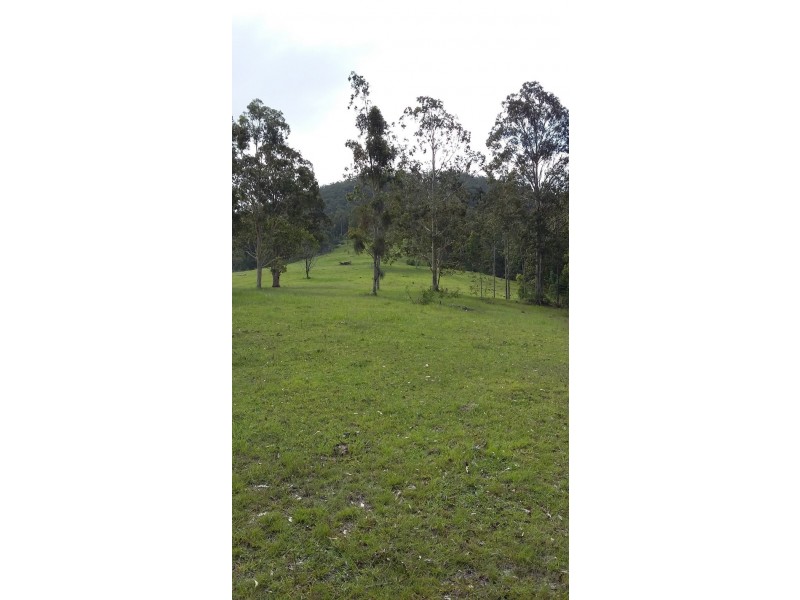 175 Wallabyjoe Road, Wingham NSW 2429