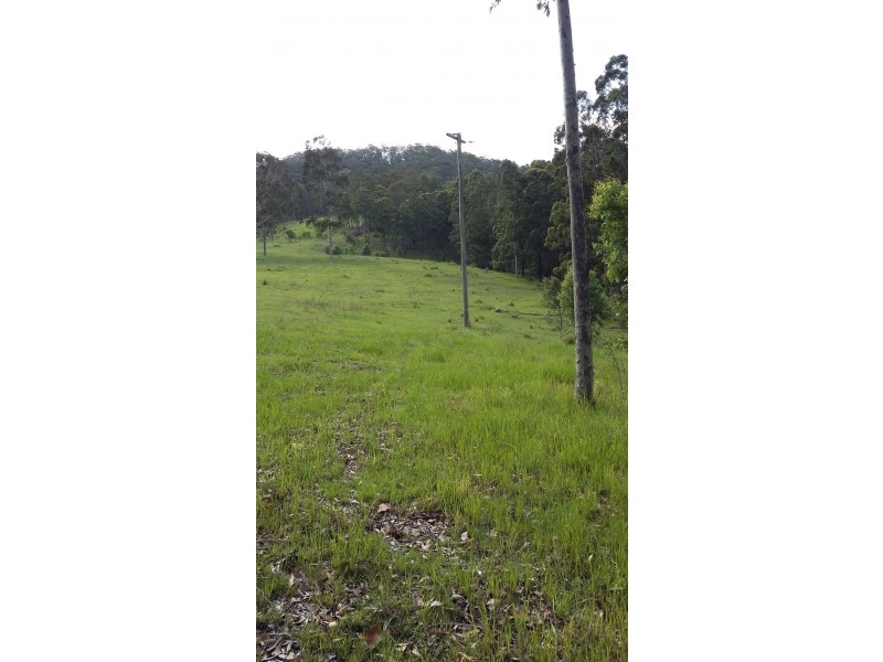 175 Wallabyjoe Road, Wingham NSW 2429