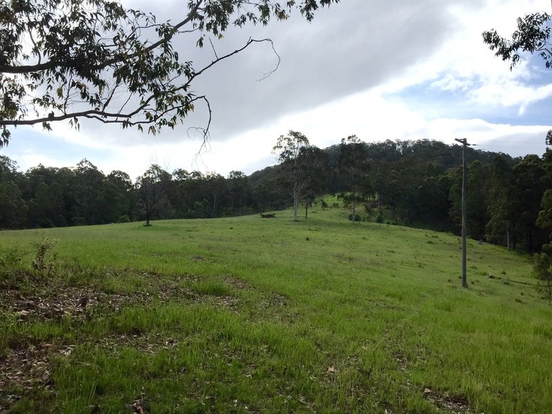 175 Wallabyjoe Road, Wingham NSW 2429