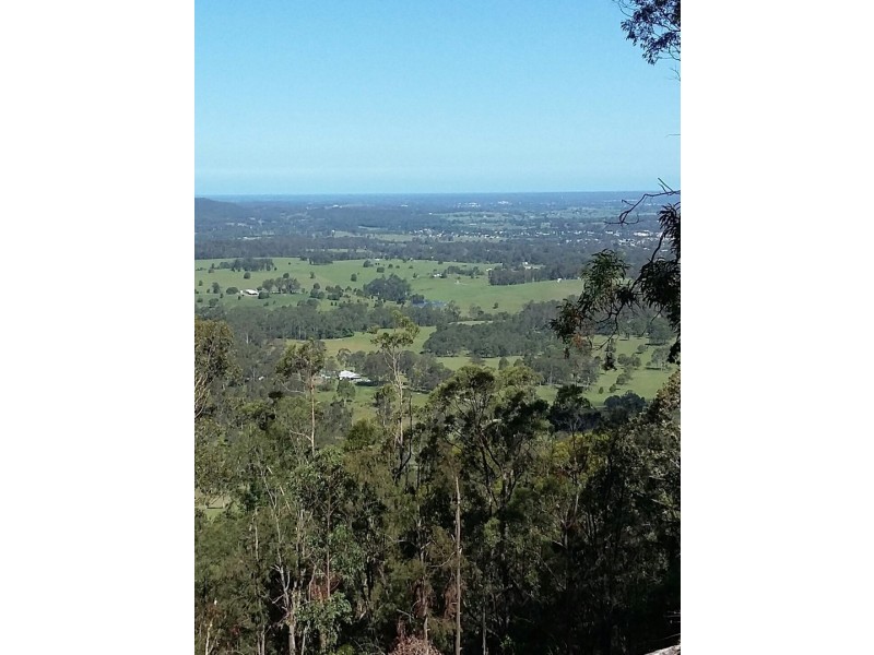 175 Wallabyjoe Road, Wingham NSW 2429