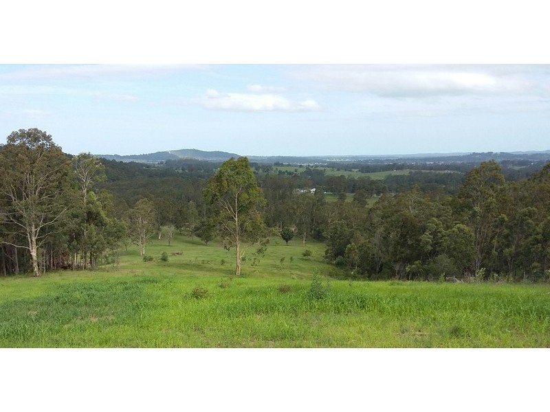 175 Wallabyjoe Road, Wingham NSW 2429