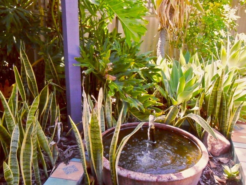 38 Wyatt Road, Bayswater WA 6053