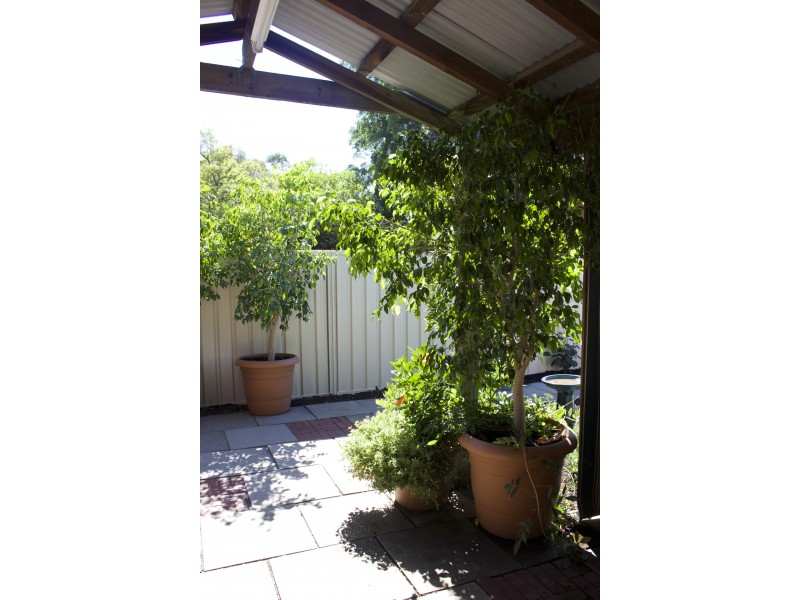 38 Wyatt Road, Bayswater WA 6053