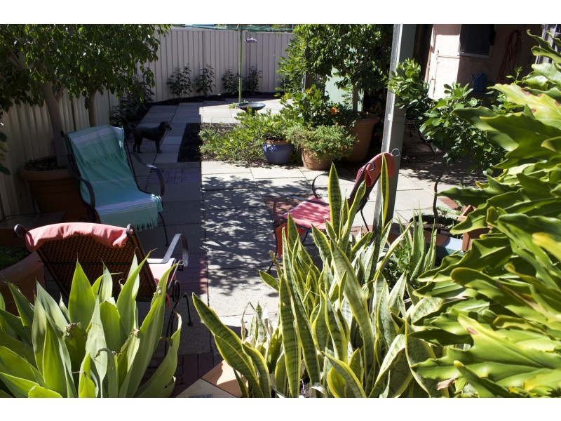 38 Wyatt Road, Bayswater WA 6053