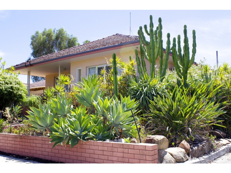 38 Wyatt Road, Bayswater WA 6053