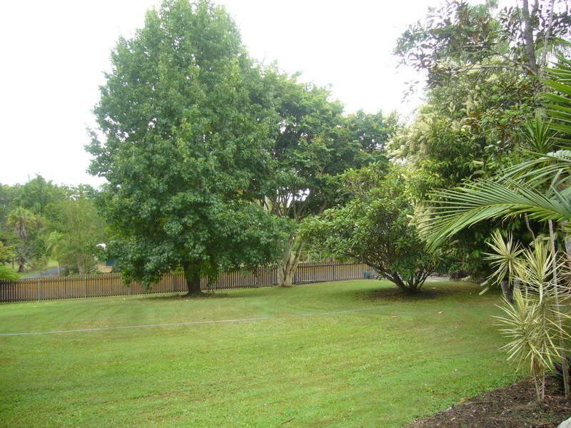 53 Firetail Court, Morayfield QLD 4506