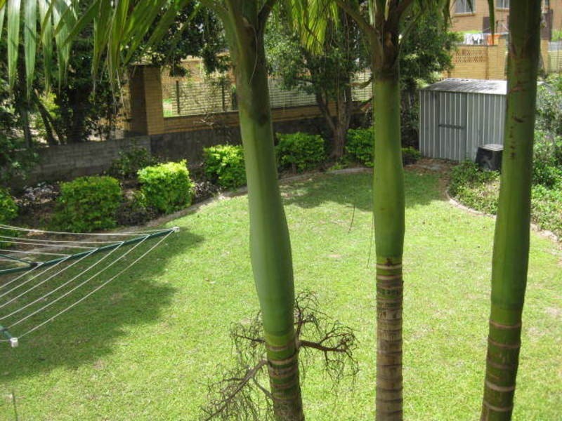 9 Kenya Street, Wavell Heights QLD 4012