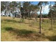 lot  8 DORODONG ROAD, Dergholm VIC 3312