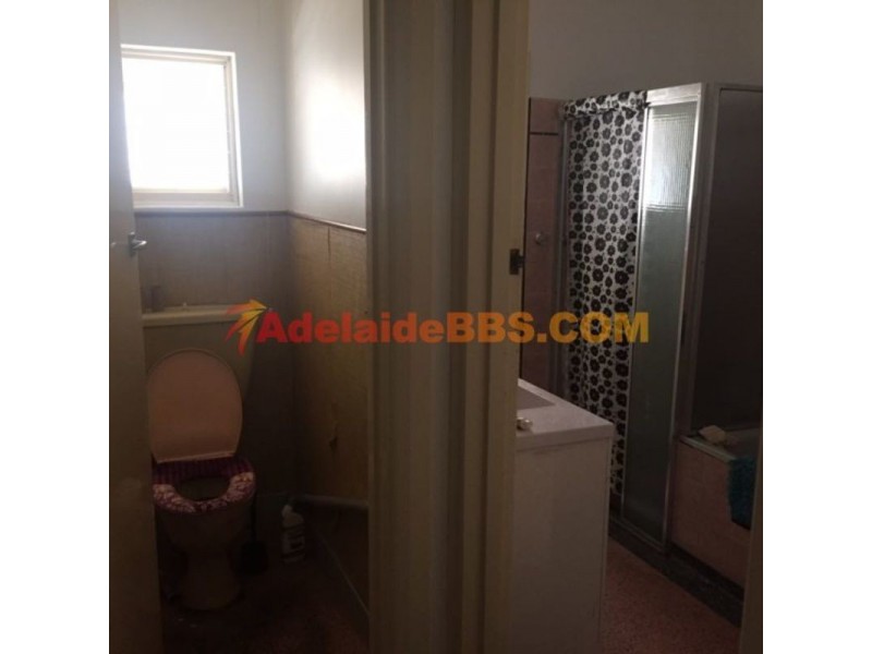 5 Pemberton Street, Oaklands Park SA 5046