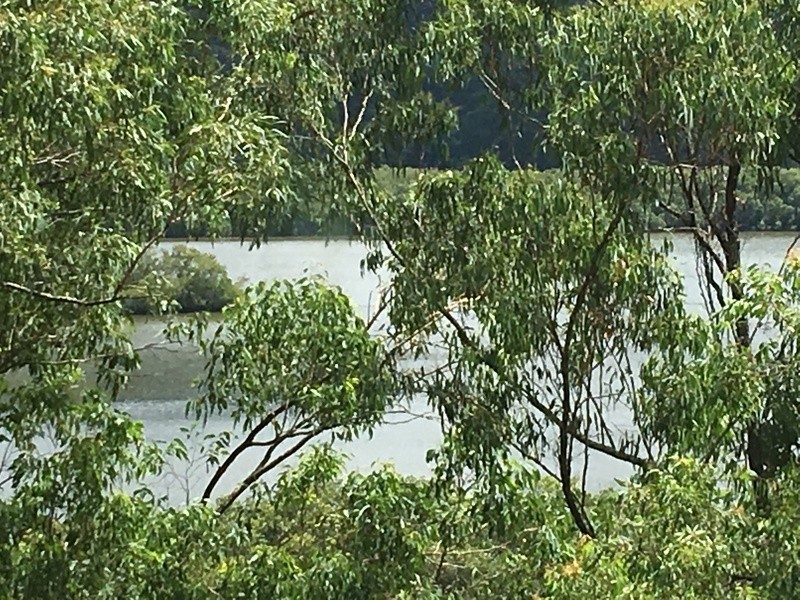 Wendoree Park NSW 2250