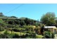 7 Martinelli Avenue, Banora Point NSW 2486