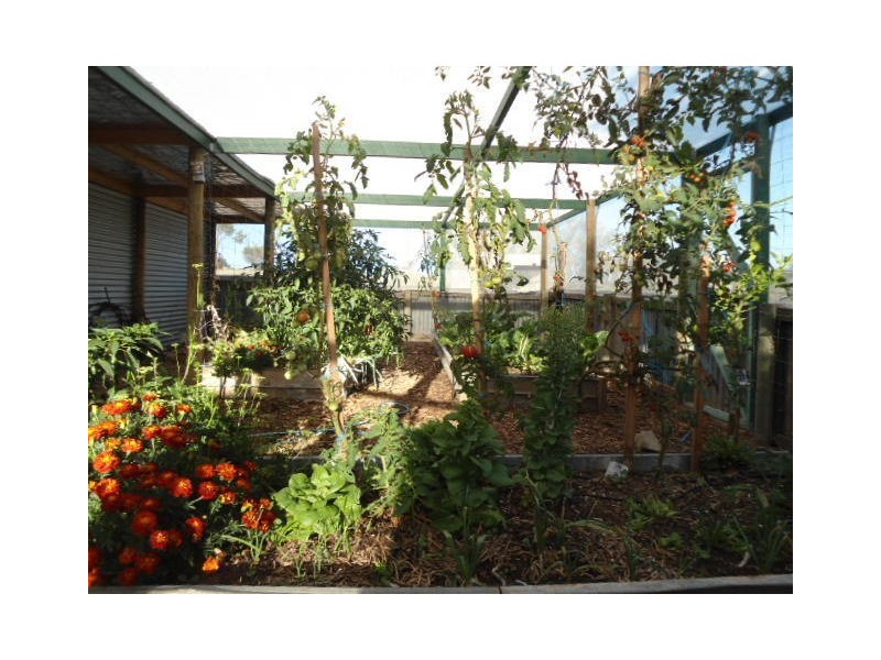 22 Alcannabie Rd, Streaky Bay SA 5680