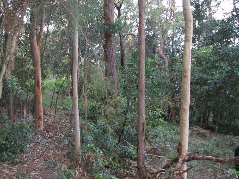 166 Railway Pde., Warrimoo NSW 2774