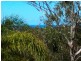 162 SIMPSONS RD, Currumbin Waters QLD 4223