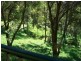 162 SIMPSONS RD, Currumbin Waters QLD 4223