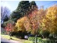 Leura NSW 2780