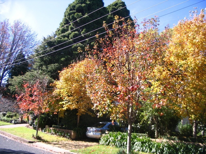 Leura NSW 2780