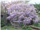 Leura NSW 2780