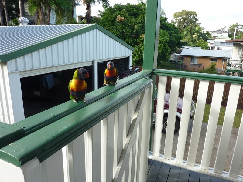 12  O’Malley Street, West Gladstone QLD 4680